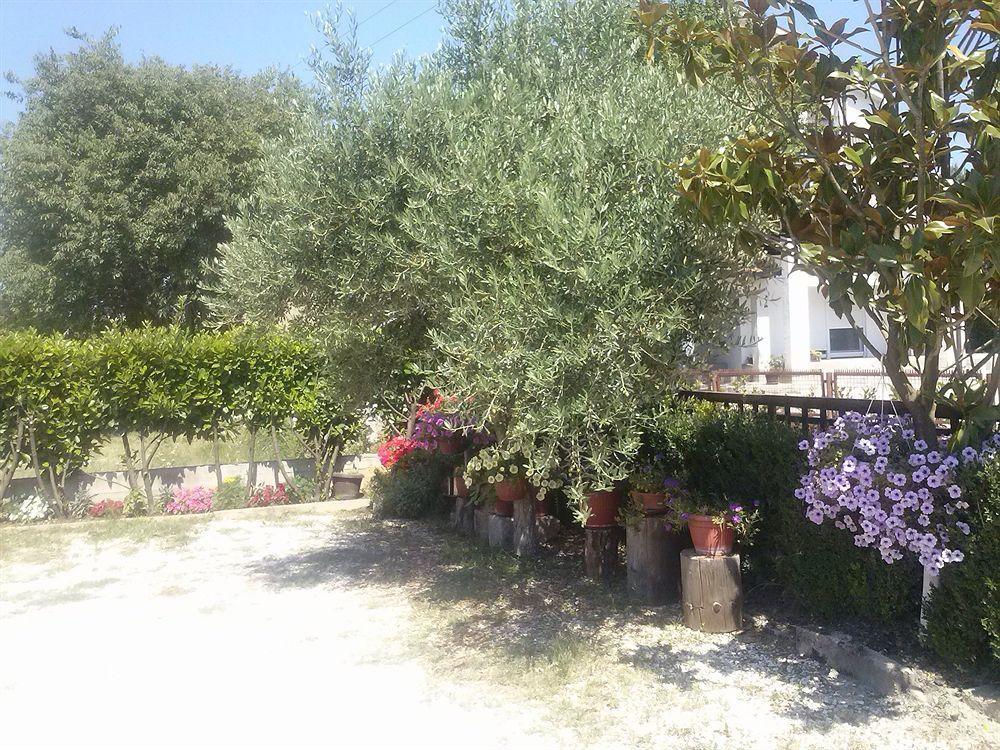 Pansion Ivanka Barac Medjugorje Exterior photo