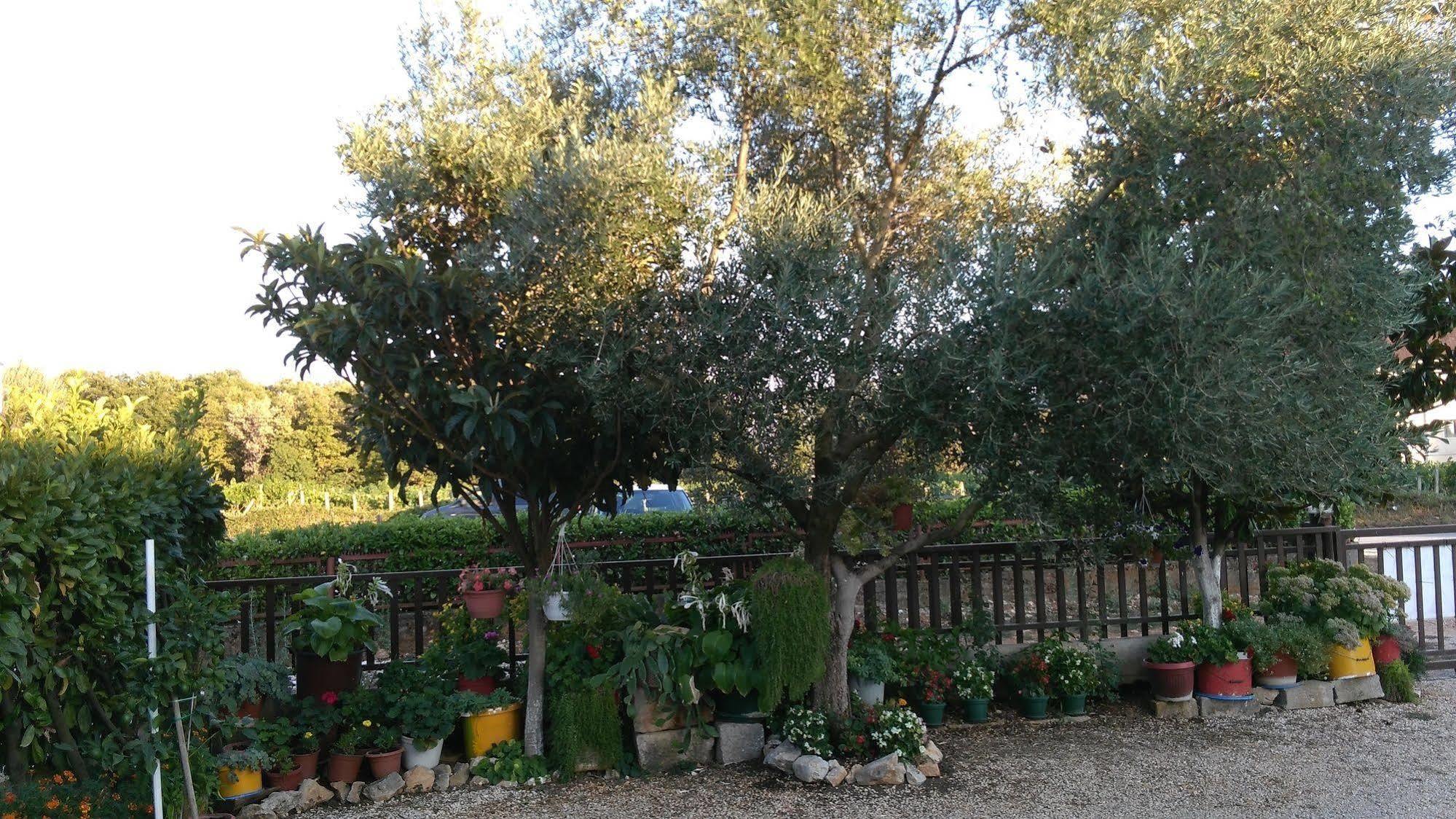 Pansion Ivanka Barac Medjugorje Exterior photo